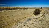161 Colorado Land & Livestock - Photo 22