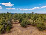34999 Timber Park Drive Pkwy - Photo 13