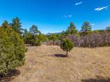 34999 Timber Park Drive Pkwy - Photo 14