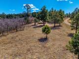 34999 Timber Park Drive Pkwy - Photo 16
