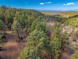 34999 Timber Park Drive Pkwy - Photo 24