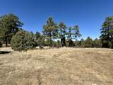 34999 Timber Park Drive Pkwy - Photo 5