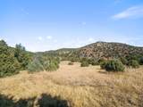 TBD Powell Canyon Dr. - Photo 9