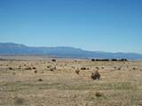  Turkey Ridge Ranch Filing 2 - Photo 24