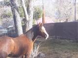 24291 County Road 18.4 - Photo 30