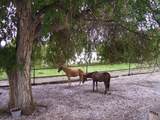 24291 County Road 18.4 - Photo 4