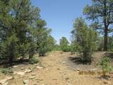 30910 Pavo Canyon Trail - Photo 13