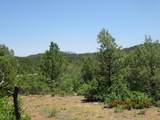 30910 Pavo Canyon Trail - Photo 15