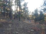 30910 Pavo Canyon Trail - Photo 5