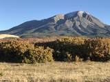 TBD Muleshoe Road - Photo 35
