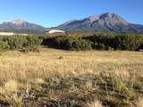 TBD Muleshoe Road - Photo 40