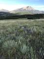 TBD Muleshoe Road - Photo 41