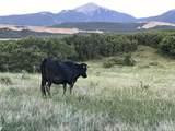 TBD Muleshoe Road - Photo 42