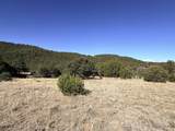 TBD Lower Mine Road - Photo 11