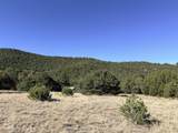 TBD Lower Mine Road - Photo 13