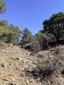 TBD Lower Mine Road - Photo 14