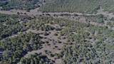 TBD Lower Mine Road - Photo 15