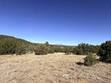 TBD Lower Mine Road - Photo 17