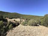 TBD Lower Mine Road - Photo 2
