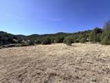 TBD Lower Mine Road - Photo 21
