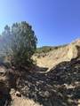 TBD Lower Mine Road - Photo 23