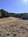 TBD Lower Mine Road - Photo 24