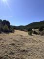 TBD Lower Mine Road - Photo 25