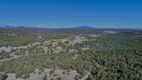 TBD Lower Mine Road - Photo 26