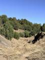 TBD Lower Mine Road - Photo 28