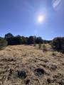 TBD Lower Mine Road - Photo 29