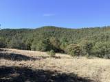 TBD Lower Mine Road - Photo 31