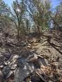 TBD Lower Mine Road - Photo 34