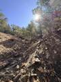 TBD Lower Mine Road - Photo 35
