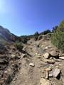 TBD Lower Mine Road - Photo 4
