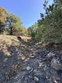 TBD Lower Mine Road - Photo 43
