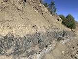 TBD Lower Mine Road - Photo 45