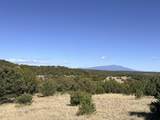 TBD Lower Mine Road - Photo 6