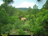 2299 Twin Creek Rd - Photo 23