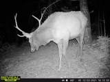 2299 Twin Creek Rd - Photo 26