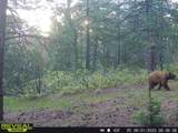 2299 Twin Creek Rd - Photo 29