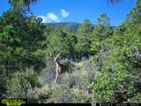 2299 Twin Creek Rd - Photo 31