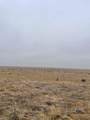 TBD County Rd 64.0 - Photo 6