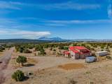 619 Black Diamond Drive - Photo 30