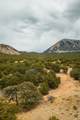 Co Rd 560 - Photo 41