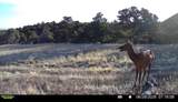  Co Rd 560 - Photo 43