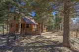 72 Columbine Ave - Photo 49