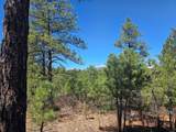 23251 Spirit Mountain Dr - Photo 10