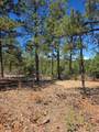 23251 Spirit Mountain Dr - Photo 11
