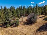23251 Spirit Mountain Dr - Photo 12
