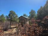 23251 Spirit Mountain Dr - Photo 13
